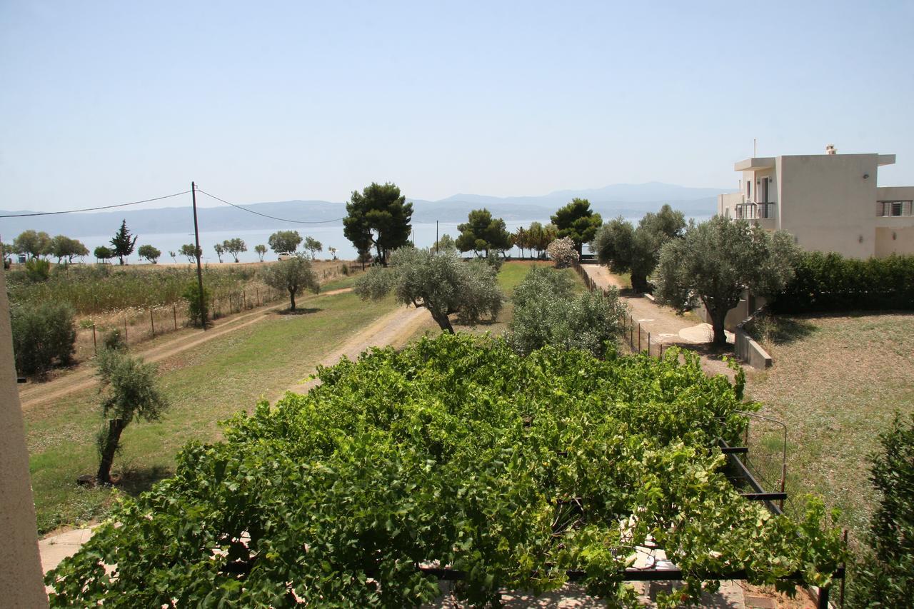 Villa Vlichos Амаринтос Екстериор снимка