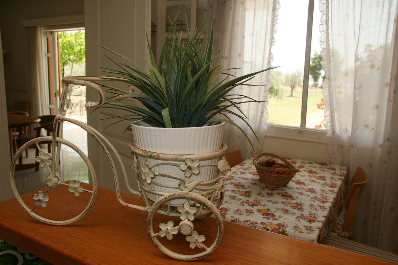 Villa Vlichos Амаринтос Екстериор снимка